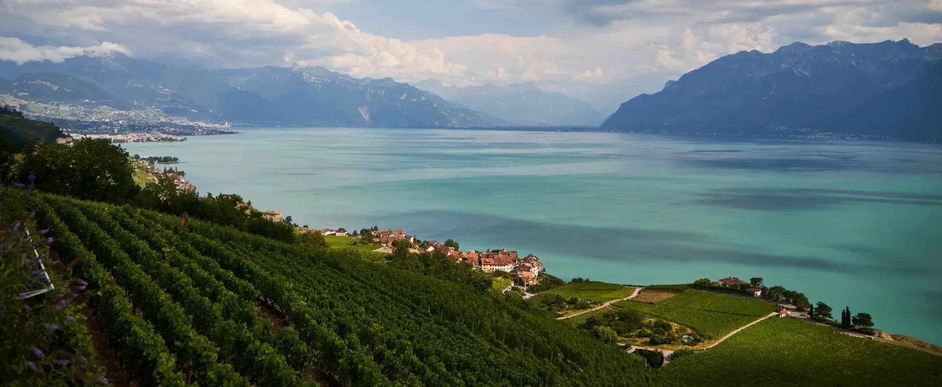 Vignobles en terrasses surplombant le lac Léman