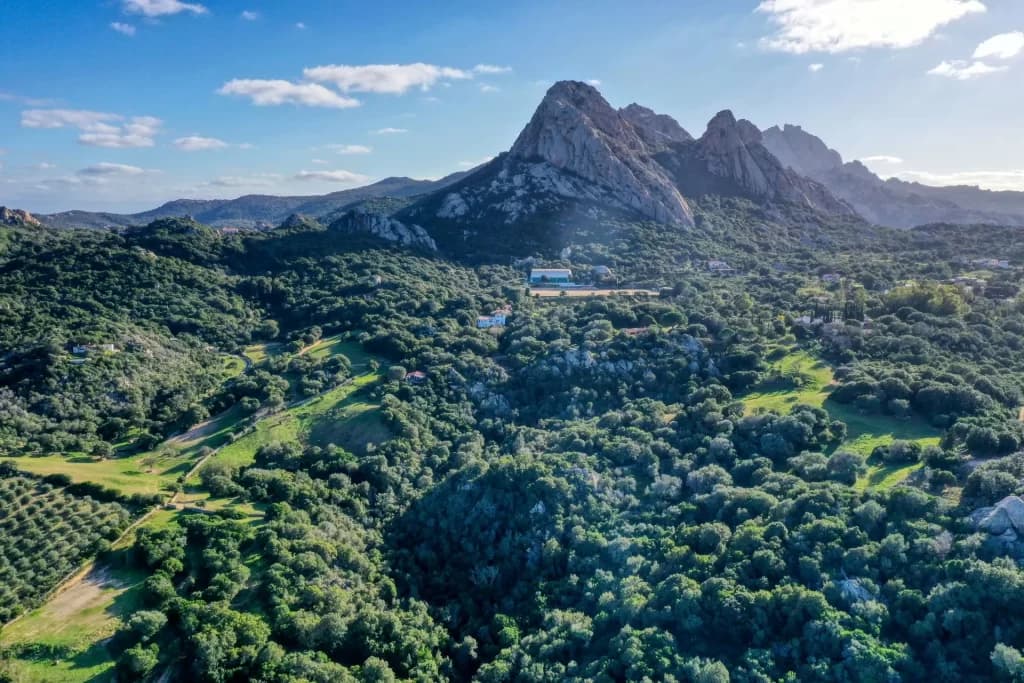 Discover Gallura's Countryside Charm