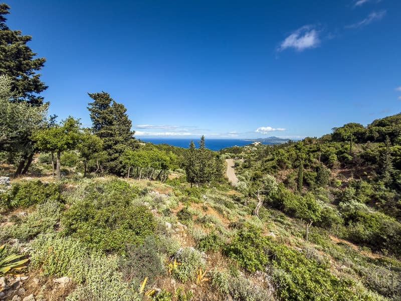 Property PS-8868998 - 3