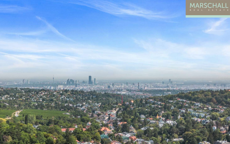 Exclusive penthouse with views of vienna